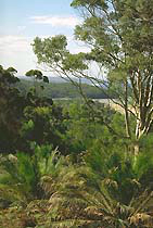 Forests, Parks, Culture, South Coast, NSW