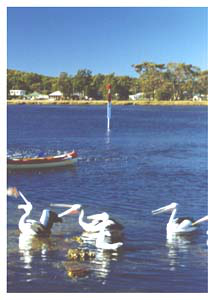 Burrill Lake, South Coast, NSW