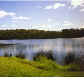 Lake Conjola, South Coast, NSW