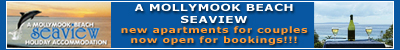 Click to visit Mollymook beach Seaview Apts website