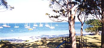 Callala Bay near boatramp, South Coast, NSW